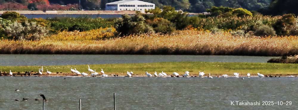 �R�n�N�`���E